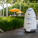 The Knightscope K5 security robot (image: Knightscope)